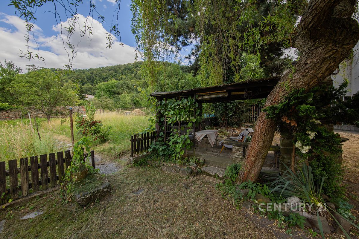 Prodej rodinného domu 220 m², pozemek 3302 m² – fotografie 4