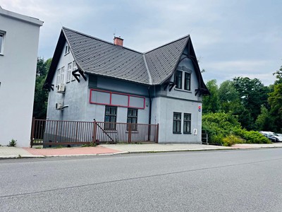 Gewerbefläche zur Miete, 250 m² (3 von 31)