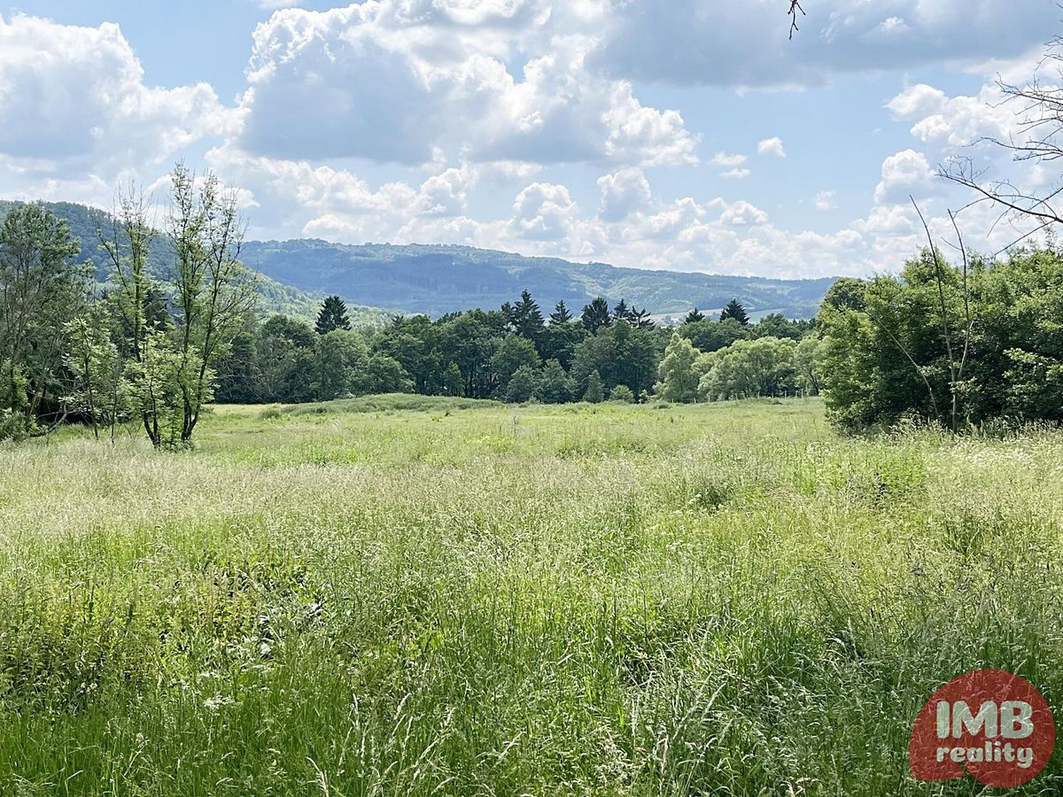 Prodej stavebního pozemku 3628 m² – fotografie 4
