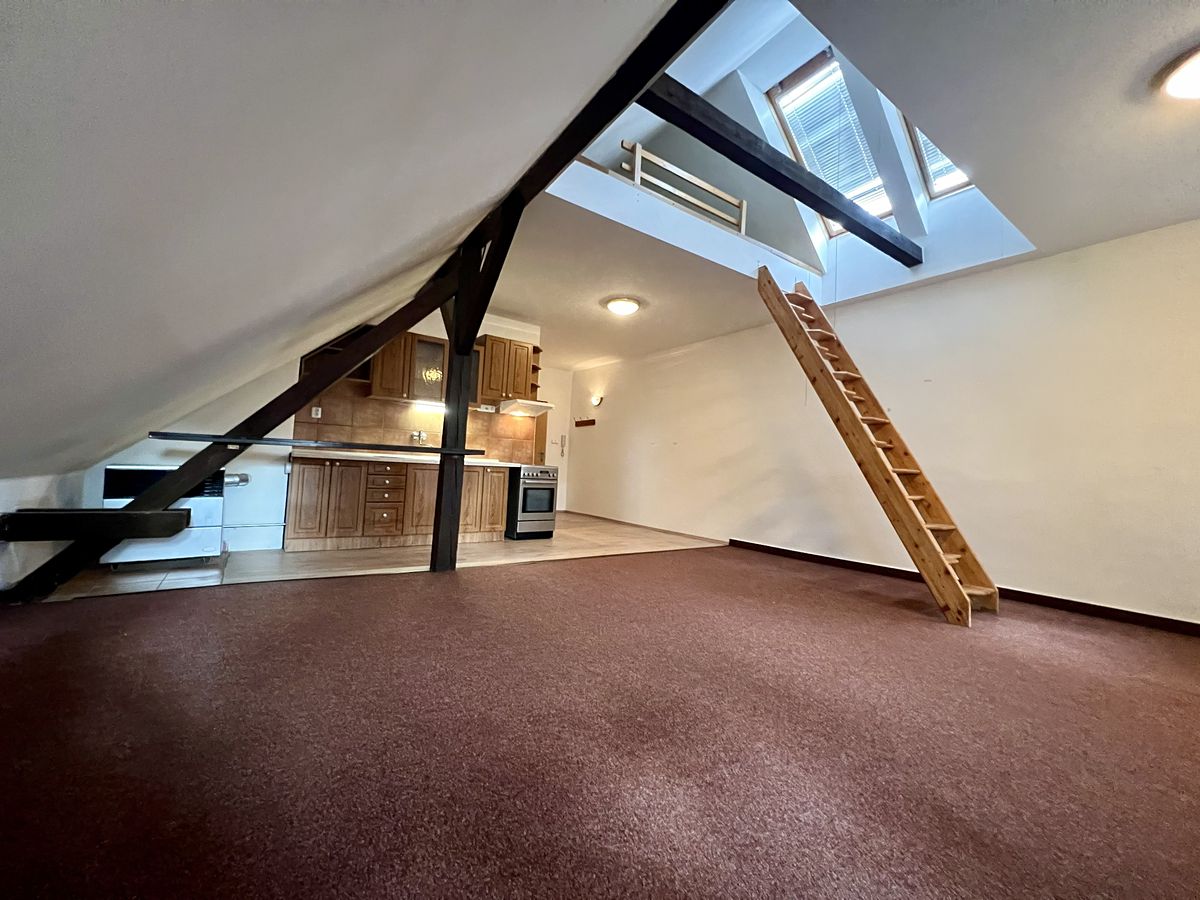 Pronájem bytu 1+kk 48 m² – fotografie 5