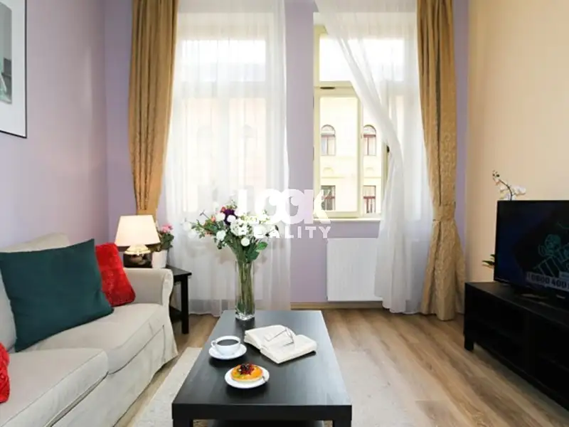 Pronájem bytu 1+1 40 m², Praha – náhled fotky 2