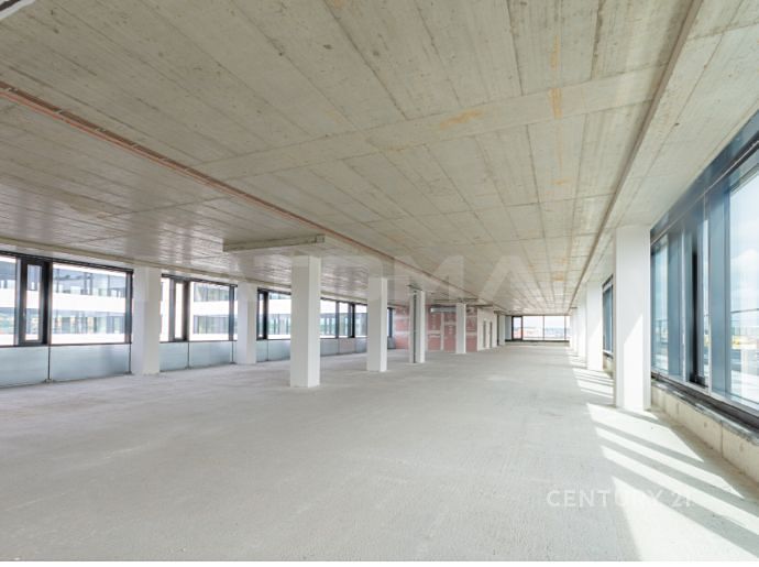 Pronájem kanceláře 500 m² – fotografie 3