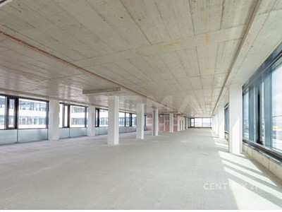 Pronájem komerčního prostoru, 500 m² (3 z 6)