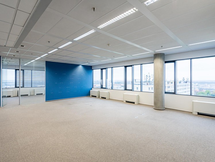 Pronájem komerčního prostoru, 303 m² (9 z 10)