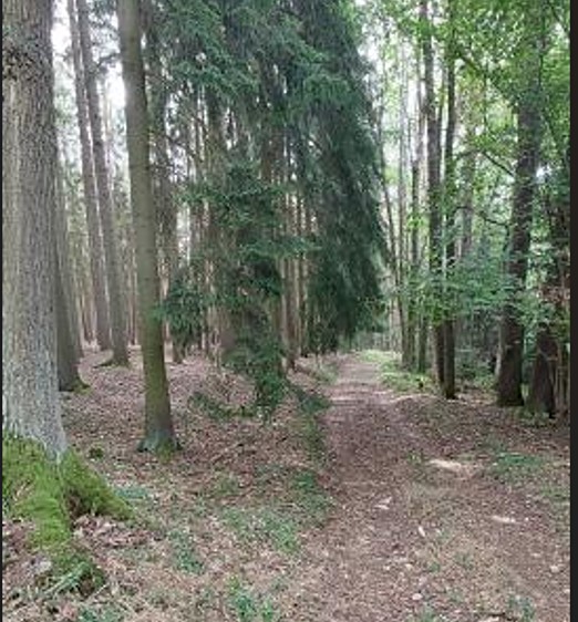 Grundstück zum Kauf, 1.375 m² (12 von 13)