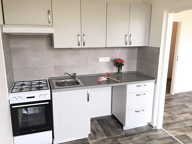 Prodej bytu 2+1 45 m², Ostrava – náhled fotky 3