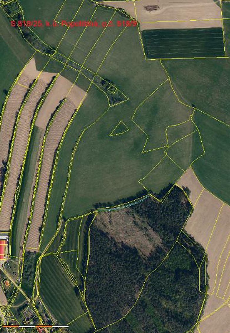 Prodej lesa 1375 m²