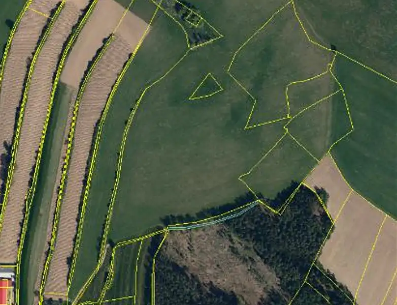 Prodej lesa 1375 m², Červená Řečice – náhled fotky 1