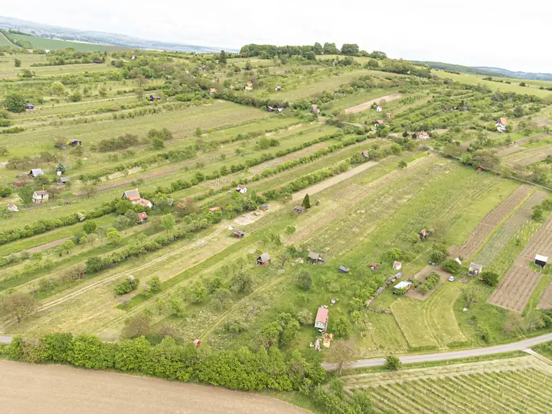 Prodej sadu, vinice 3526 m², Strážnice – náhled fotky 3
