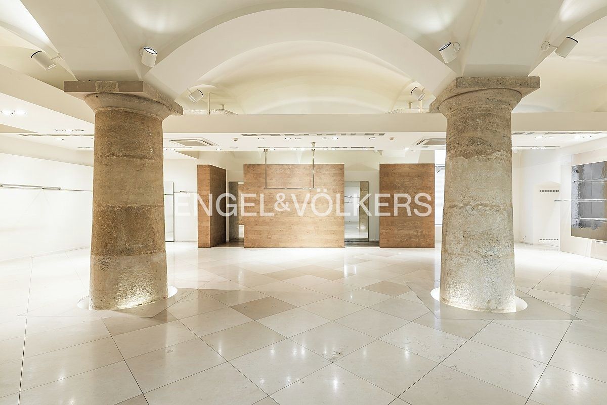 Pronájem obchodního prostoru 250 m² – fotografie 2