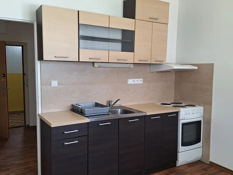 Prodej bytu 1+1 39 m², Tábor – náhled fotky 2