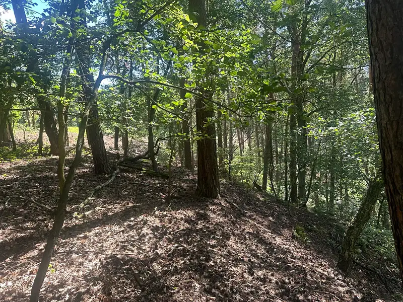 Prodej lesa 27734 m², Nebužely – náhled fotky 2