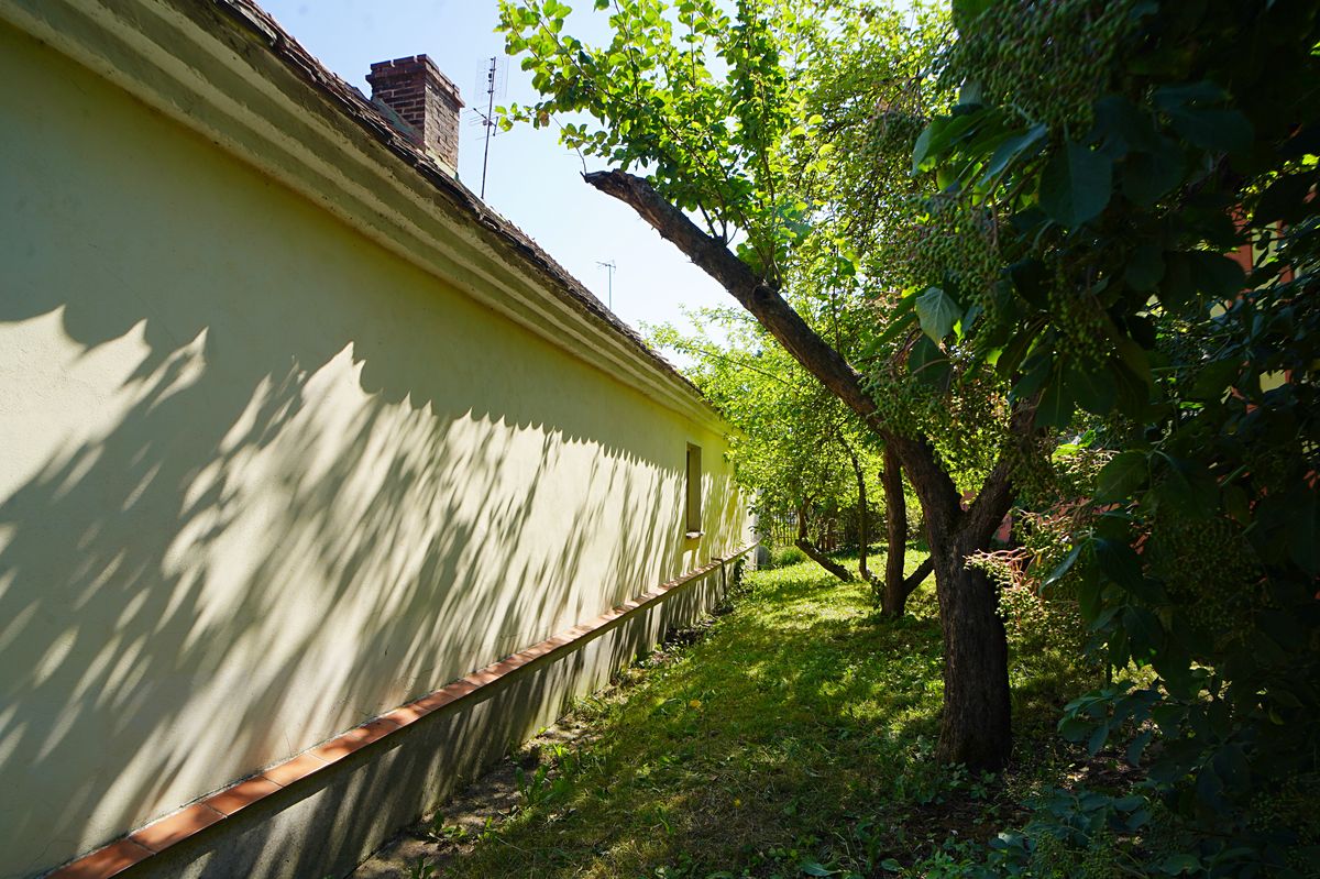 Prodej rodinného domu 151 m², pozemek 736 m² – fotografie 5