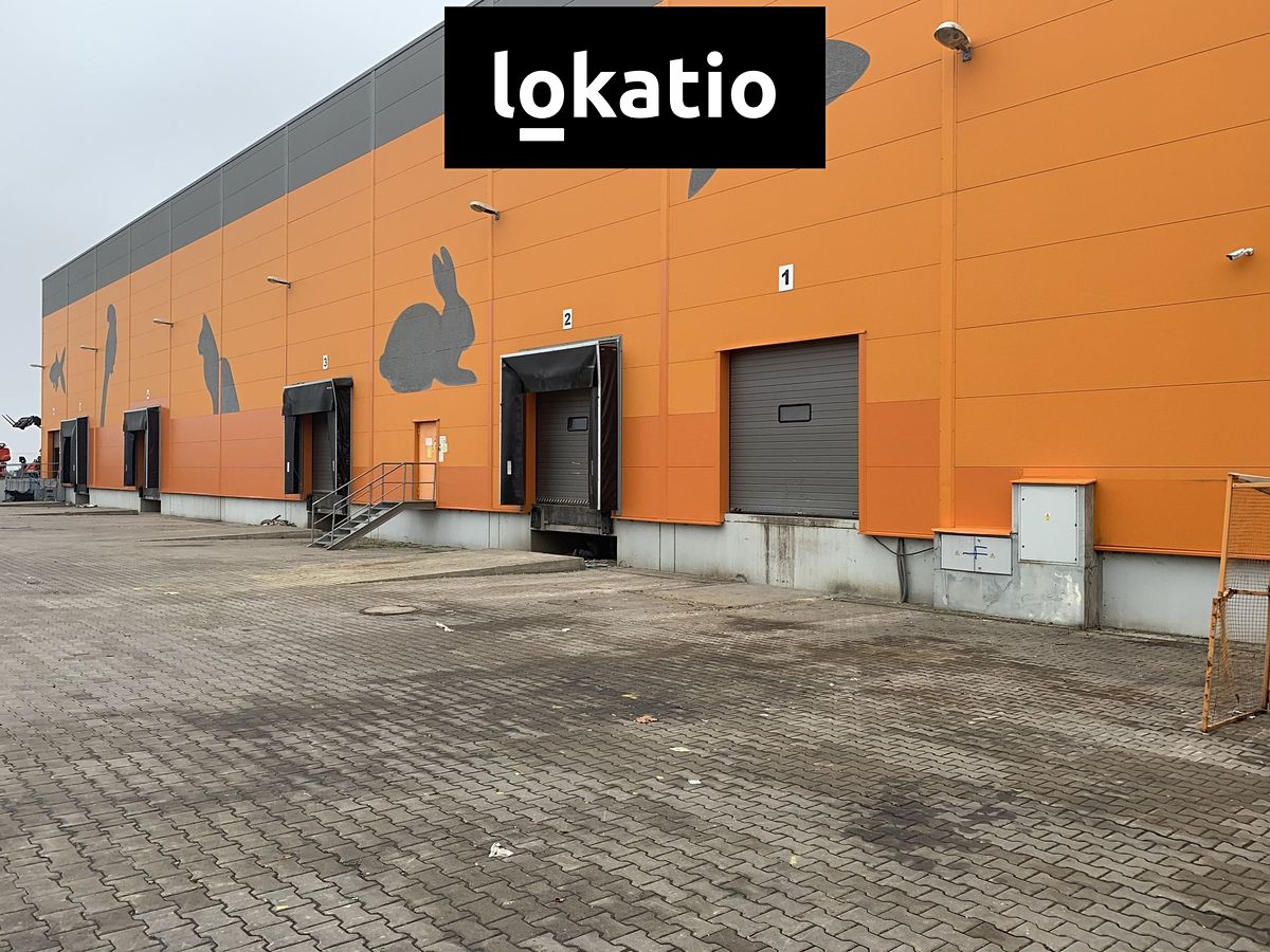 Pronájem skladového prostoru 4766 m² – fotografie 3