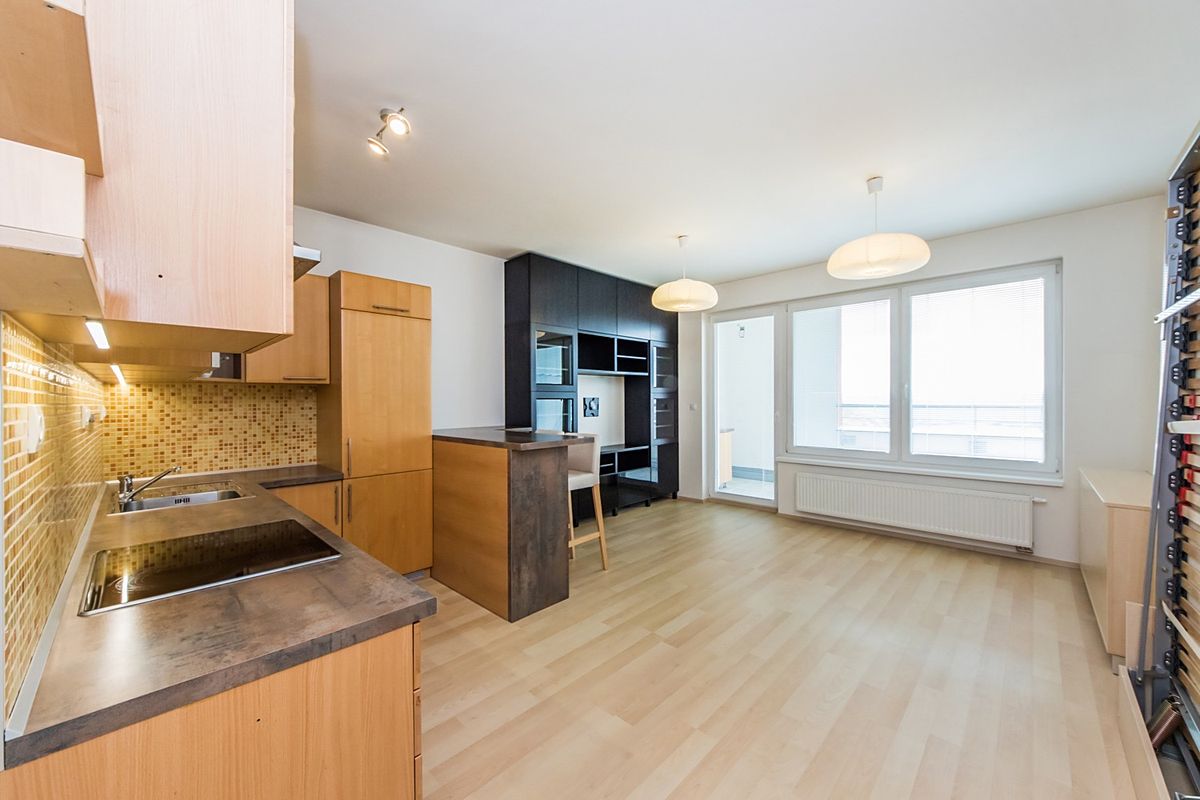 Pronájem bytu 1+kk 45 m²