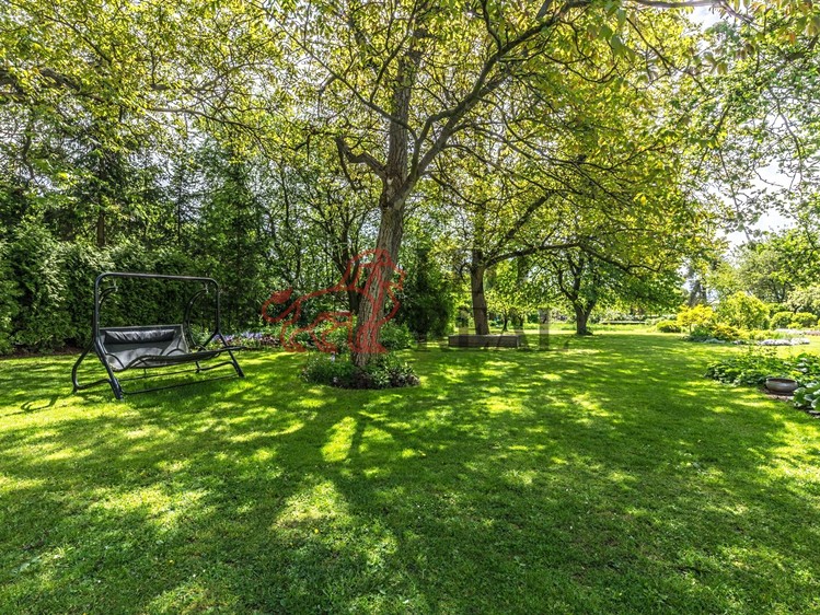 Prodej pozemku, 800 m² (3 z 5)