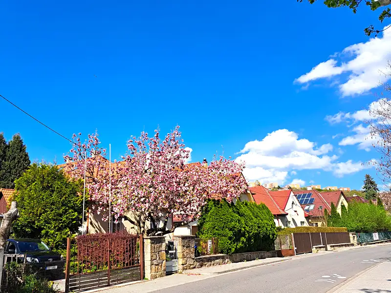 Pronájem bytu pokoje 36 m², Zlín – náhled fotky 1