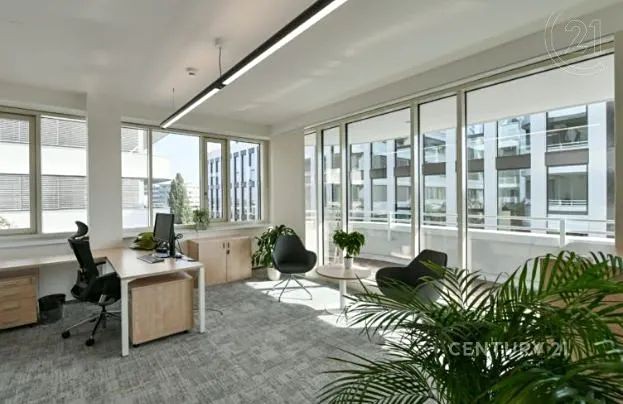 Gewerbefläche zur Miete, 478 m² (5 von 6)