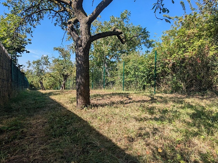 Grundstück zum Kauf, 319 m² (11 von 11)