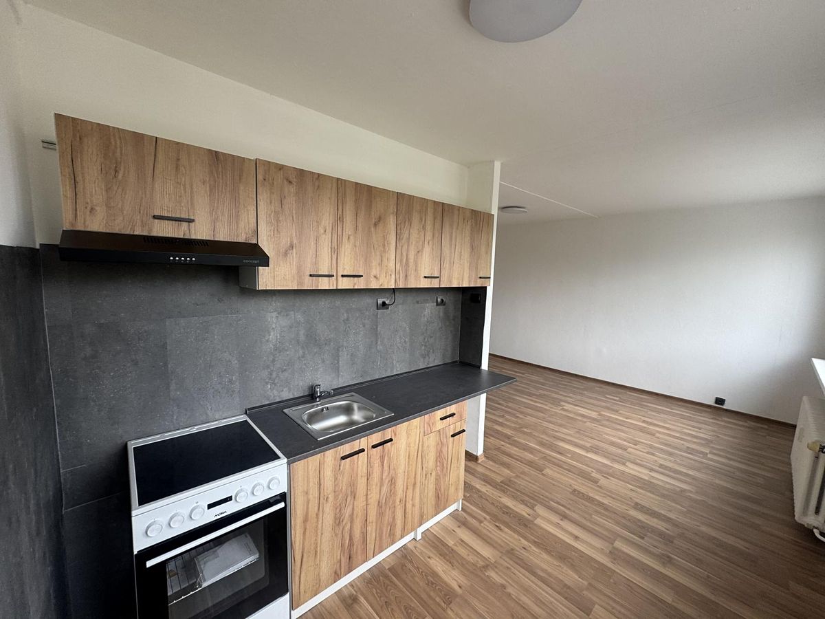 Pronájem bytu 1+kk 33 m²