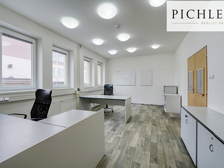 Pronájem komerčního prostoru, 255 m² (7 z 43)