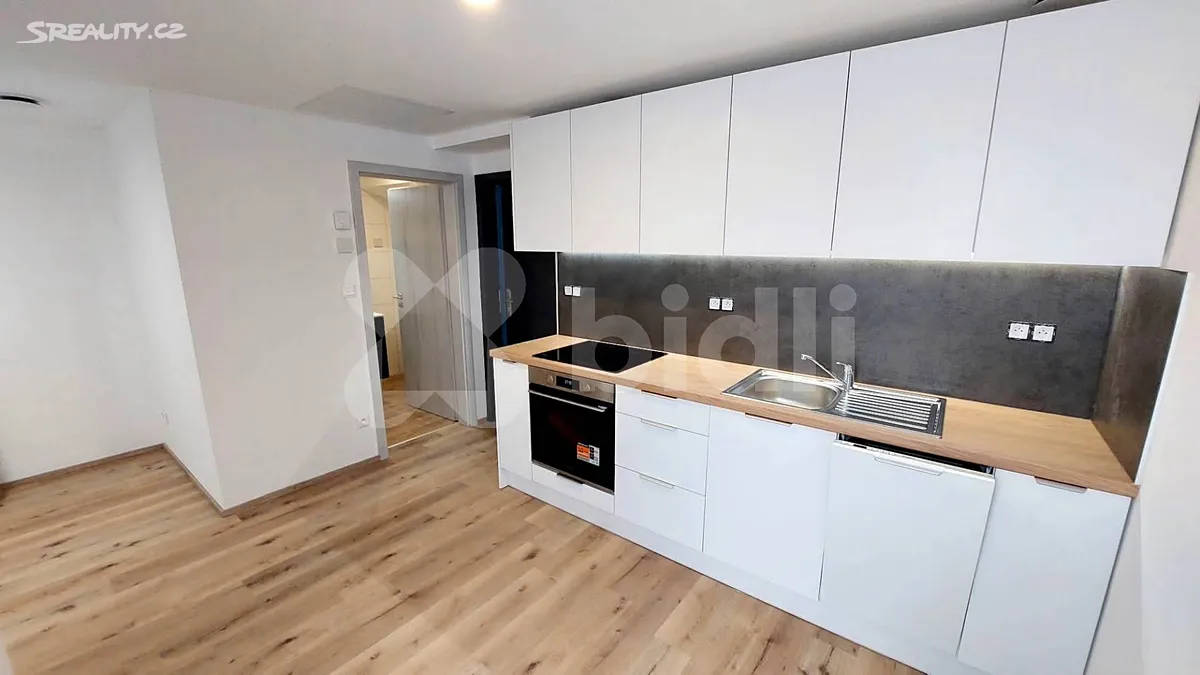 Pronájem bytu 1+kk 23 m², Brno