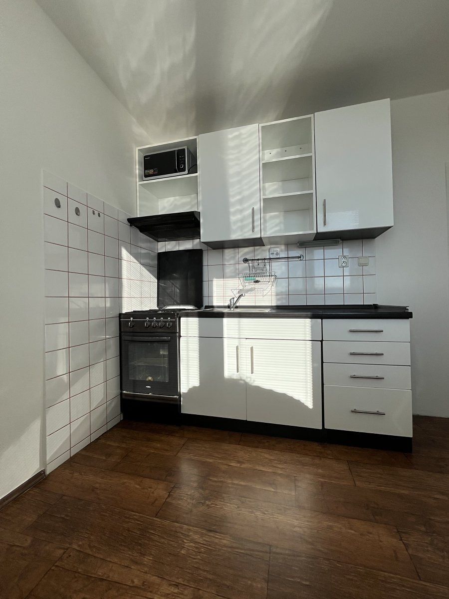 Pronájem bytu 1+1 41 m²