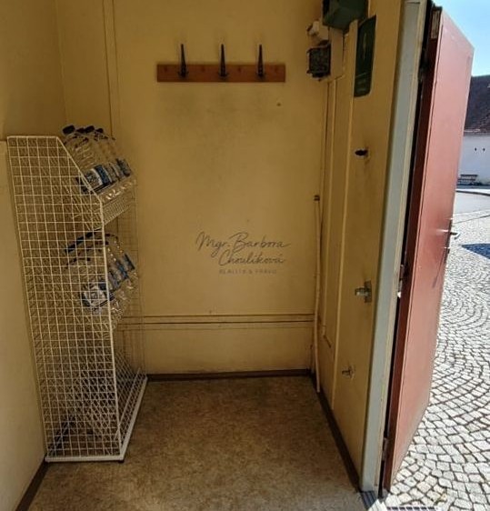 Prodej komerčního prostoru, 20 m² (14 z 15)