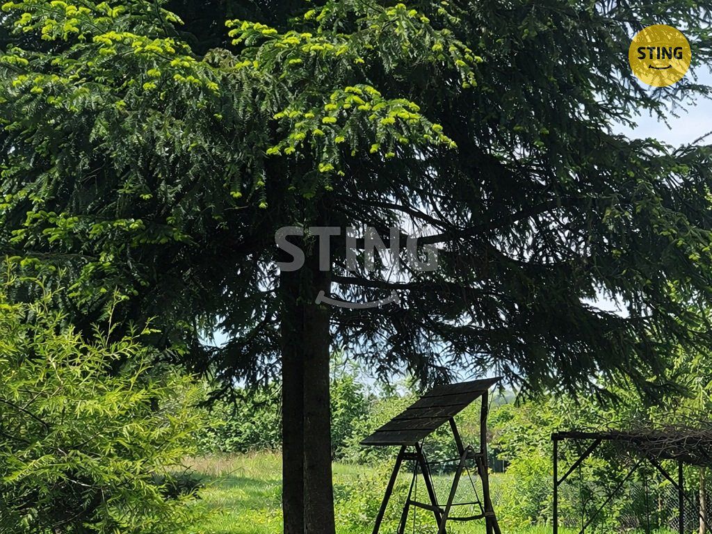 Prodej rodinného domu 200 m², pozemek 1000 m² – fotografie 2