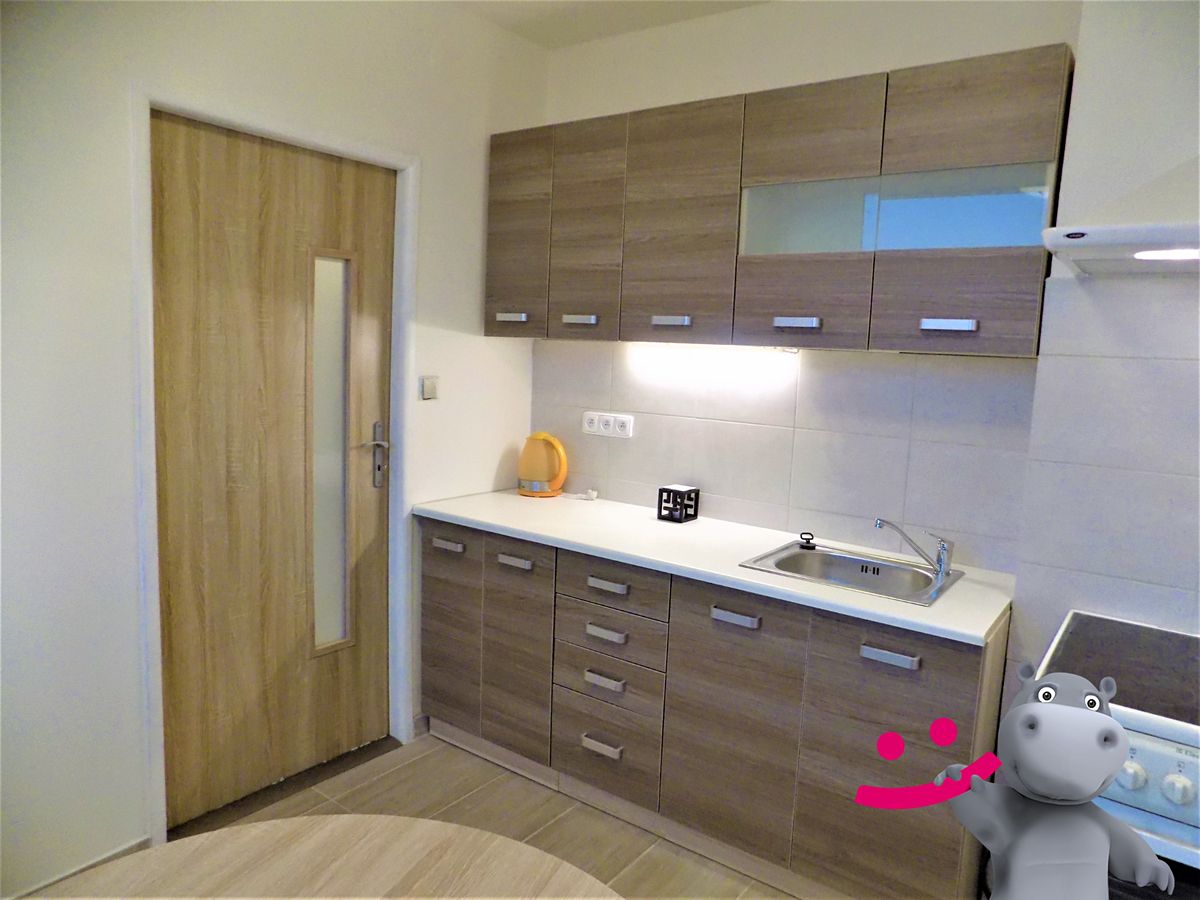 Pronájem bytu 2+1 52 m²