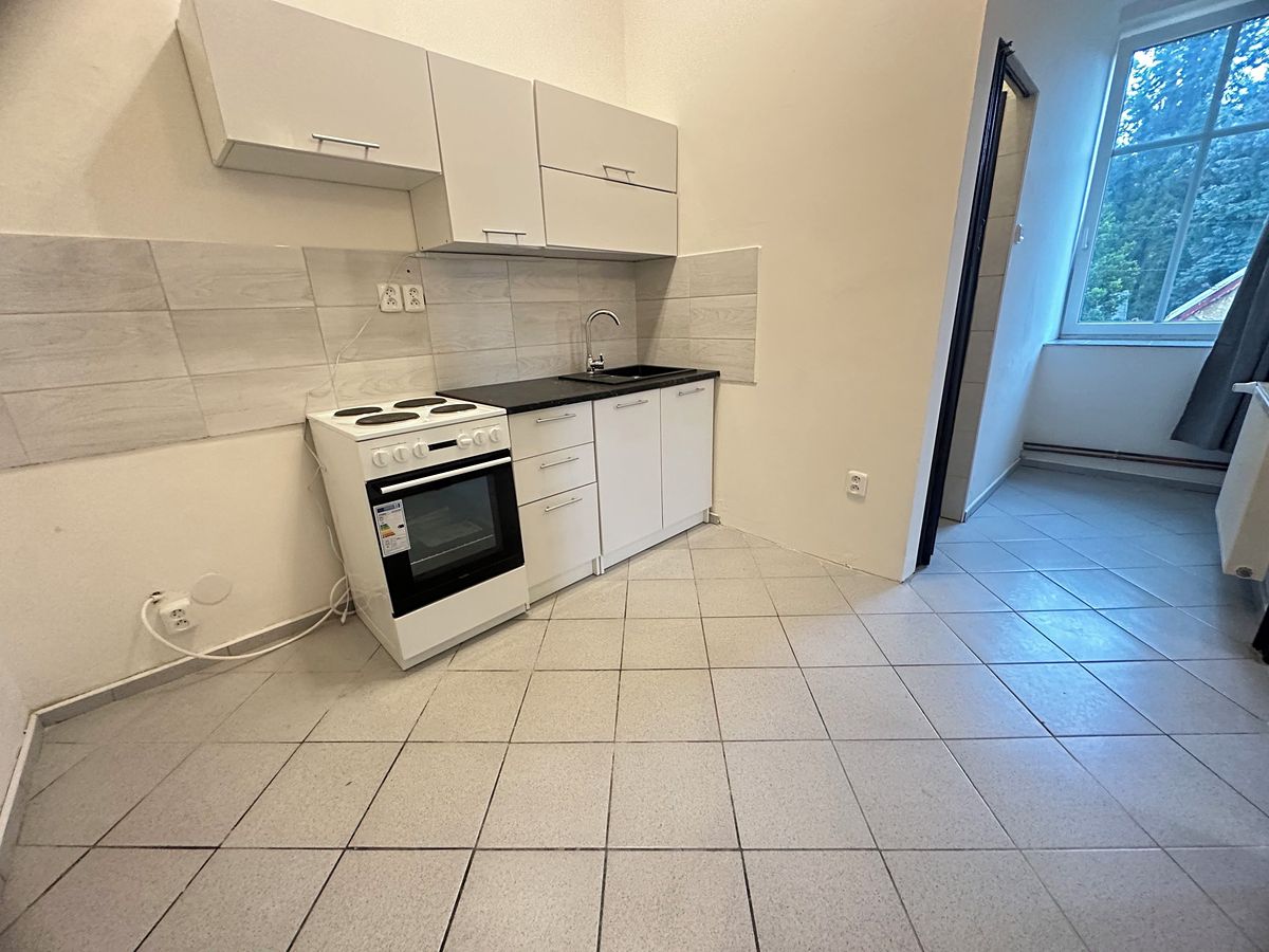 Pronájem bytu 1+1 40 m² – fotografie 4