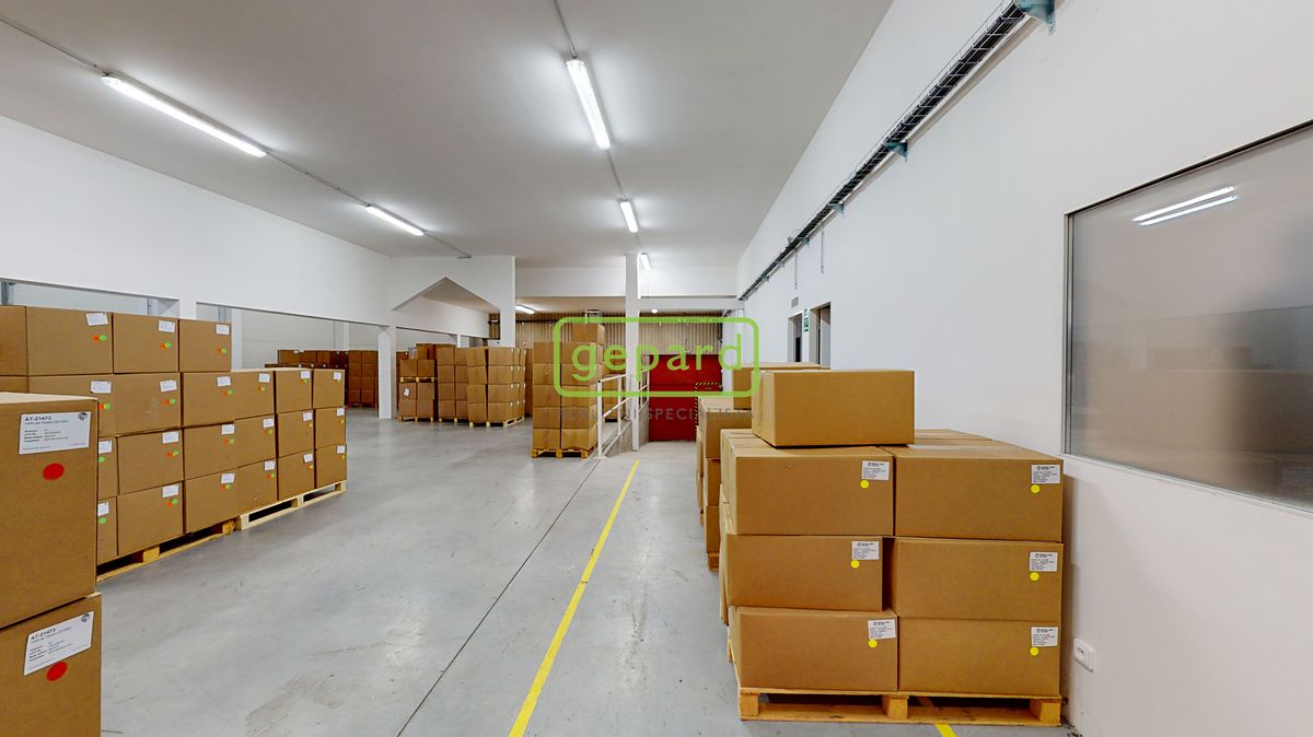 Pronájem obchodního prostoru 698 m² – fotografie 3