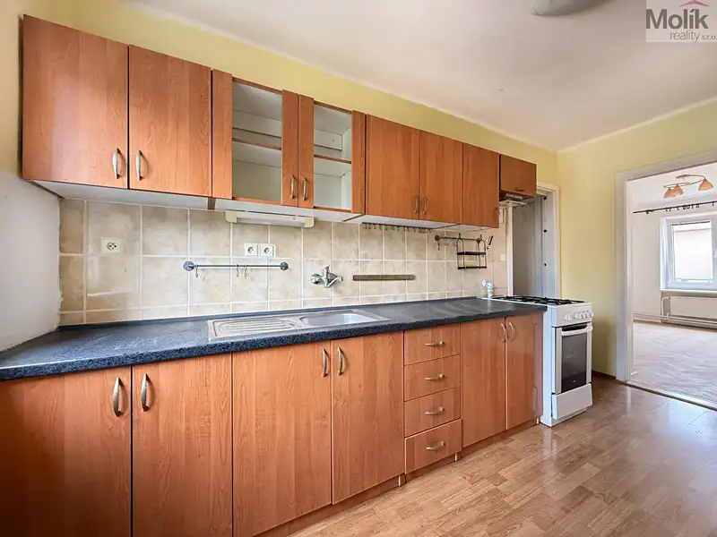 Prodej bytu 2+1 57 m², Duchcov – náhled fotky 2