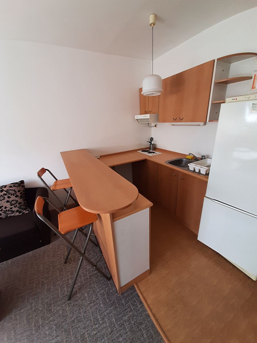 Pronájem bytu 1+kk 35 m² – fotografie 5