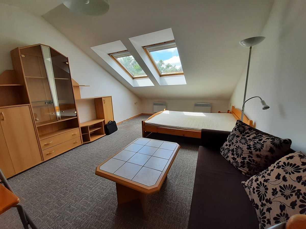 Pronájem bytu 1+kk 35 m²