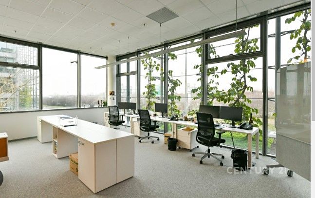 Gewerbefläche zur Miete, 1.047 m² (5 von 12)