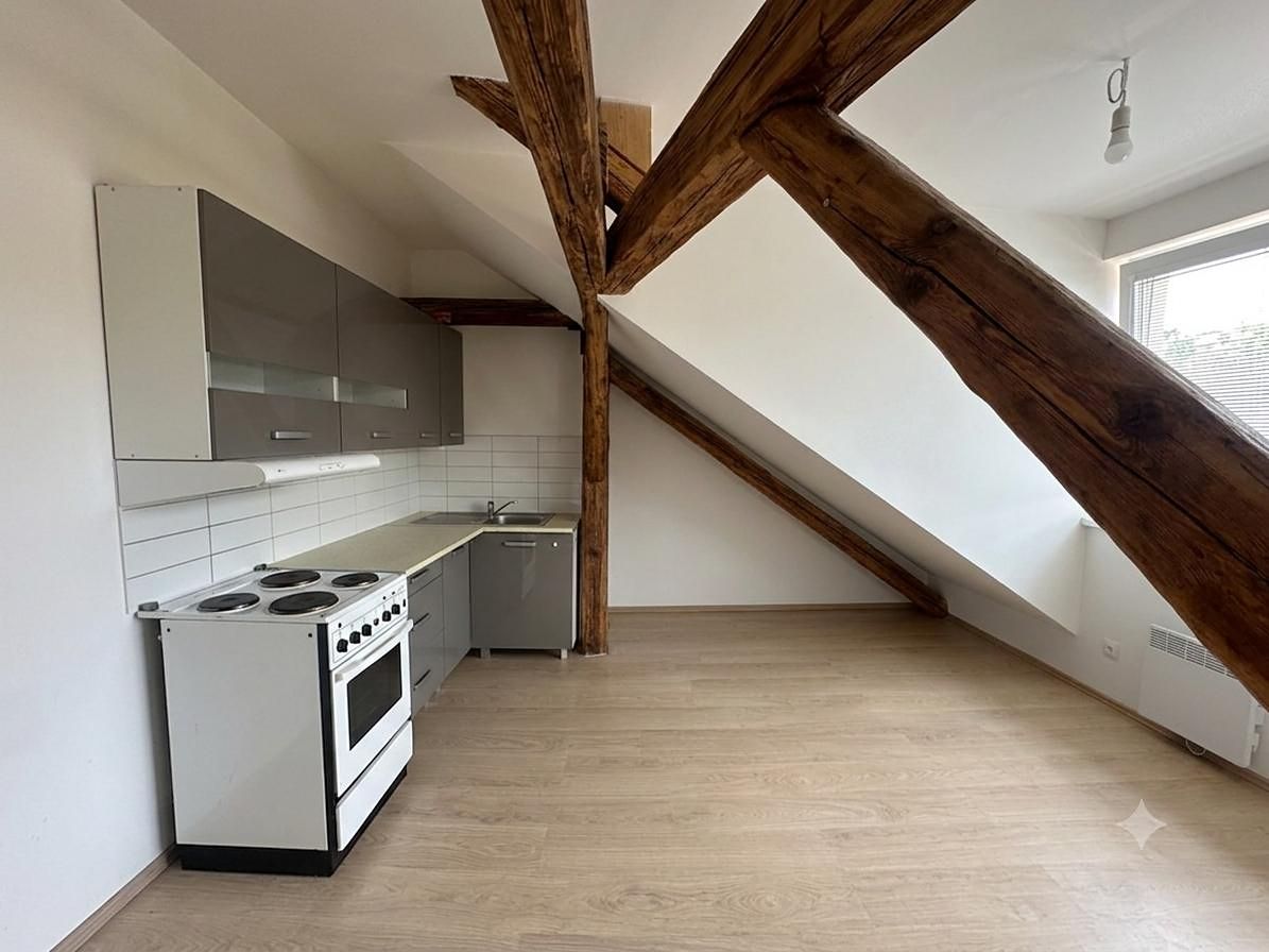 Pronájem bytu 3+kk 45 m²