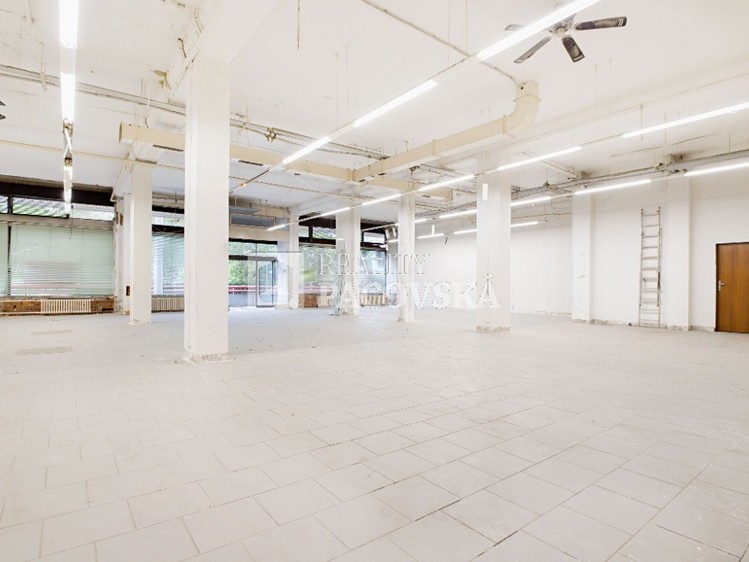 Gewerbefläche zur Miete, 423 m² (7 von 14)