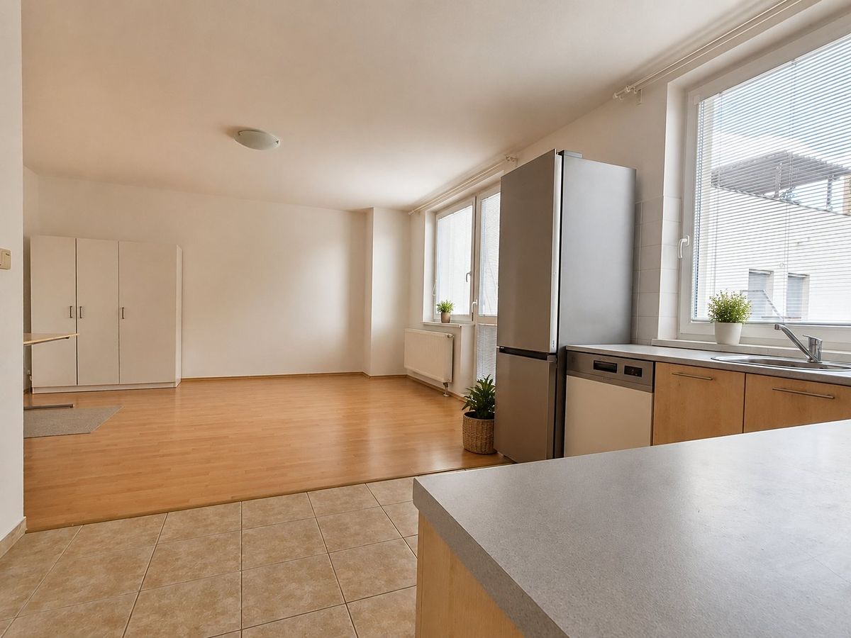 Pronájem bytu 1+kk 42 m²