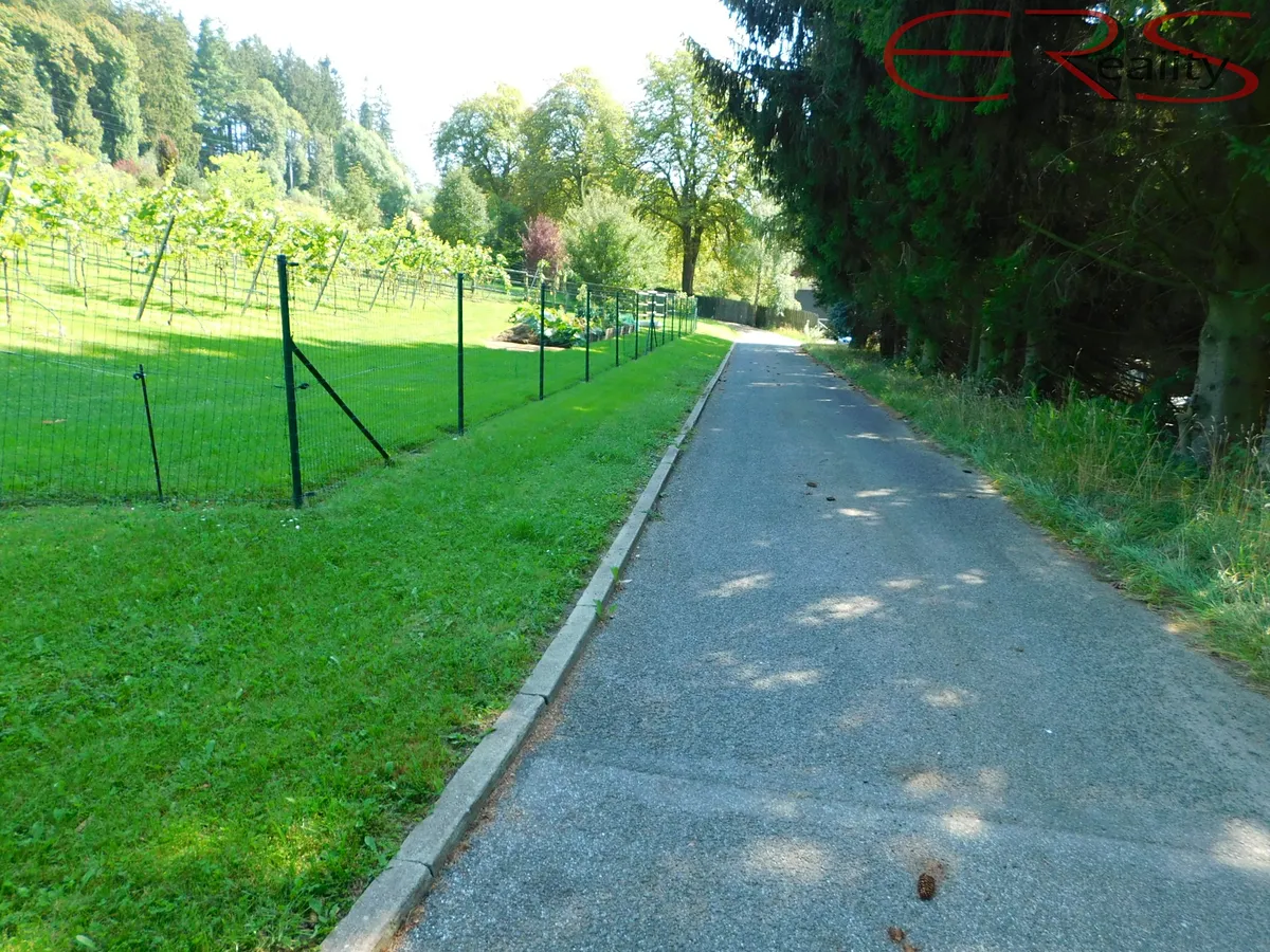 Fotka 10 z 12