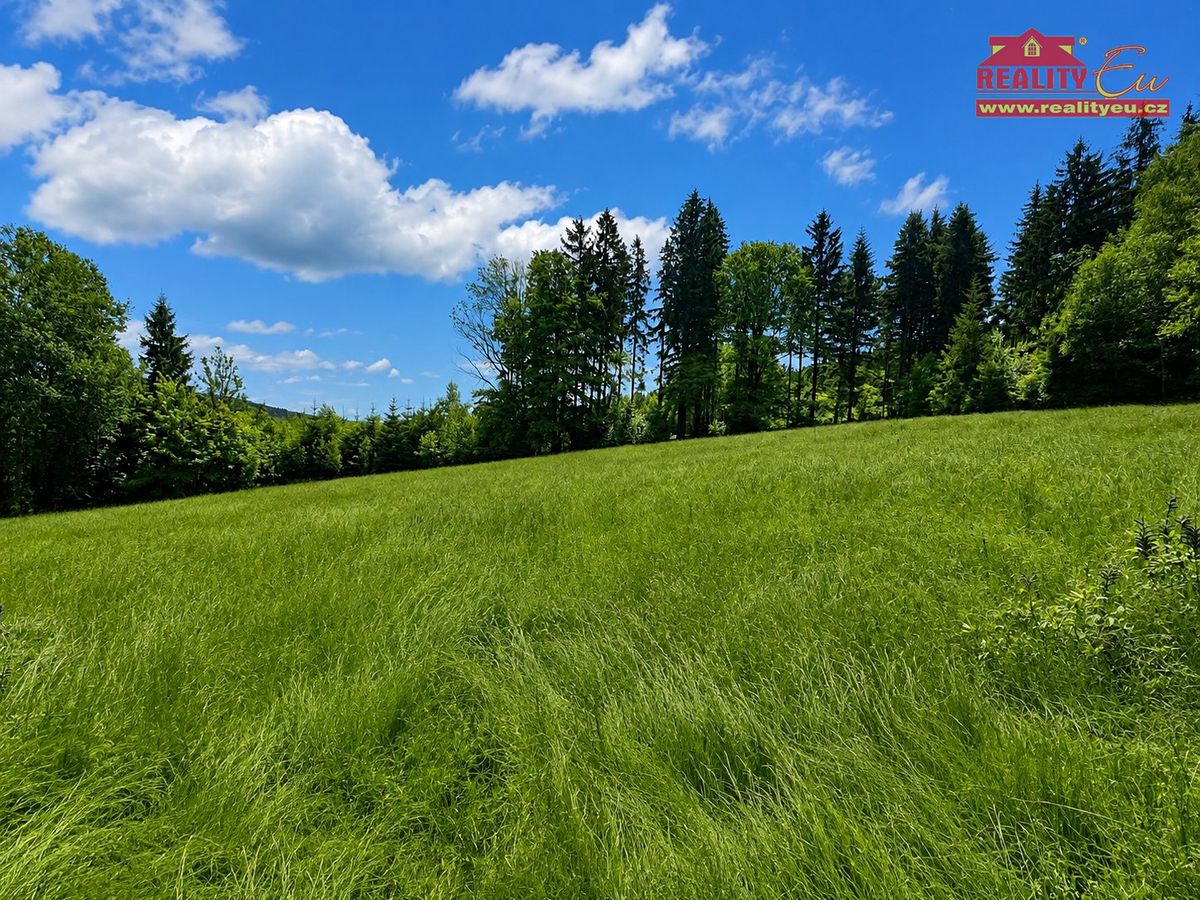 Prodej louky 7453 m² – fotografie 2
