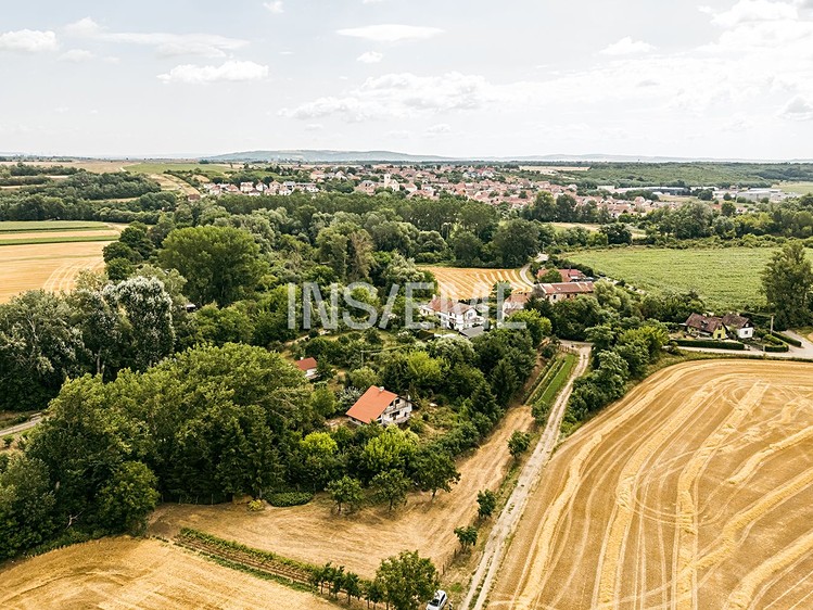Ostatní