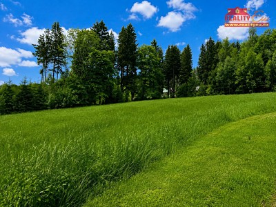 Prodej  louky 7 453 m²