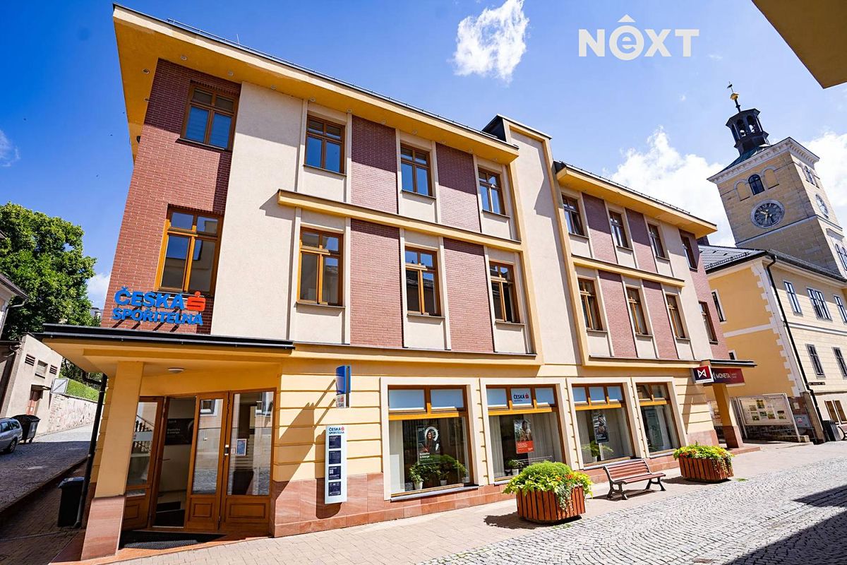 Prodej obchodního prostoru 363 m² – fotografie 3