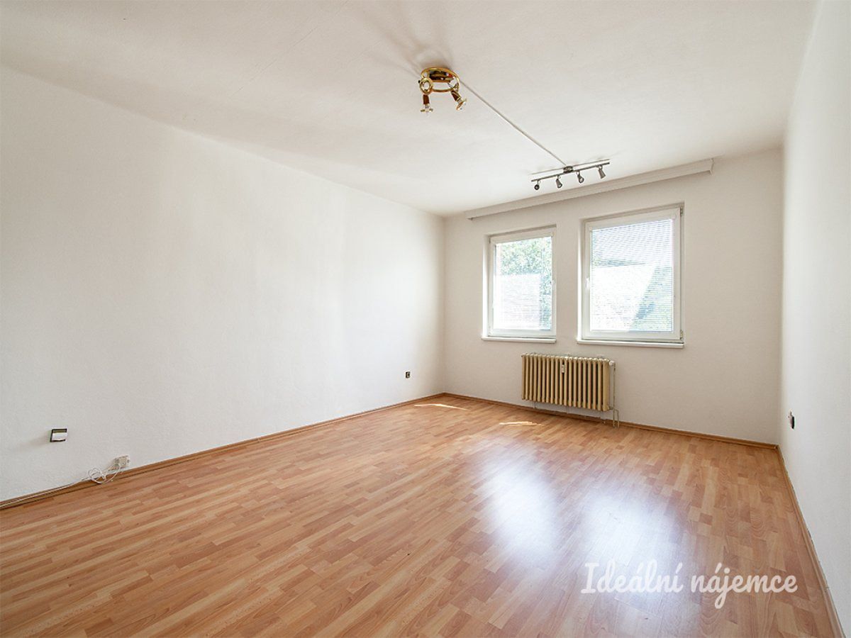 Pronájem bytu 1+kk 45 m²