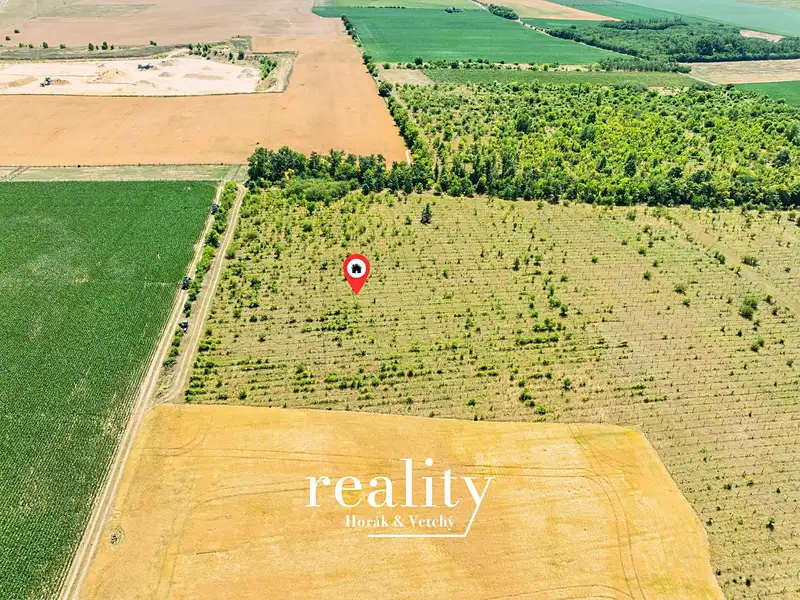 Prodej sadu, vinice 22053 m², Křídlůvky – náhled fotky 3