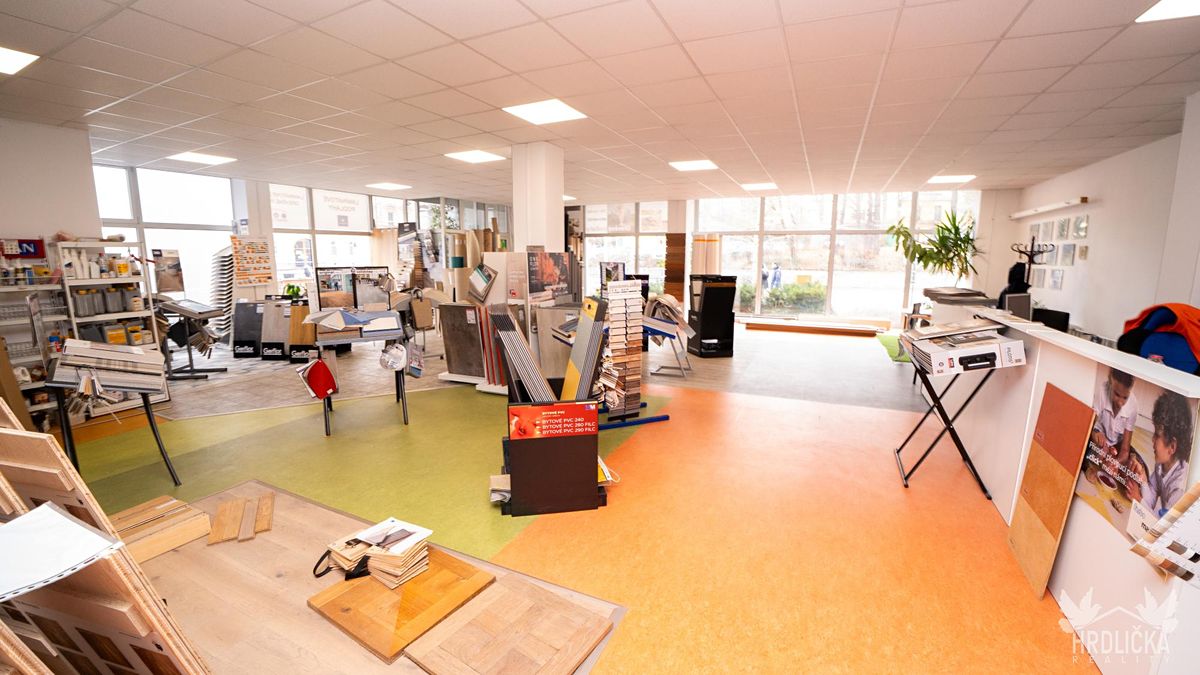 Pronájem obchodního prostoru 190 m²