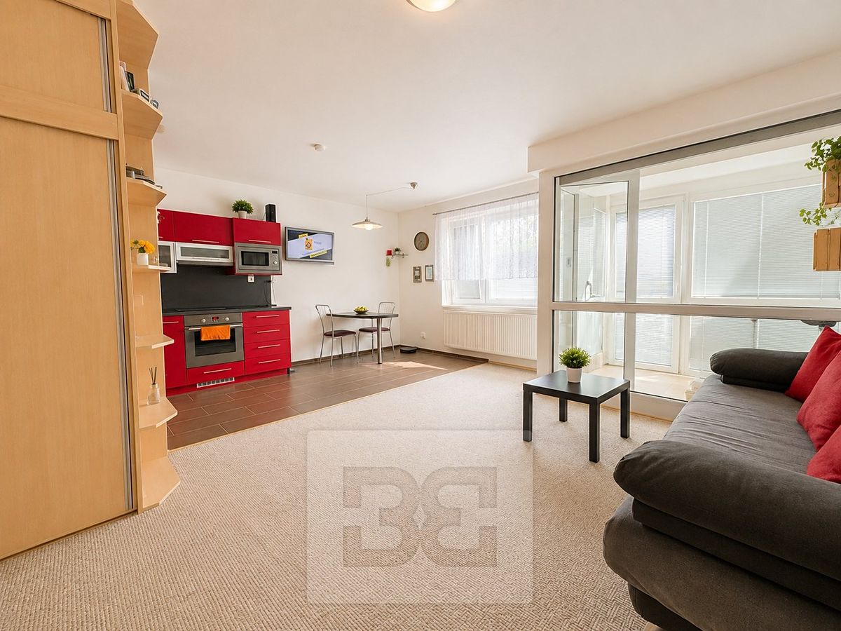 Pronájem bytu 1+kk 40 m²