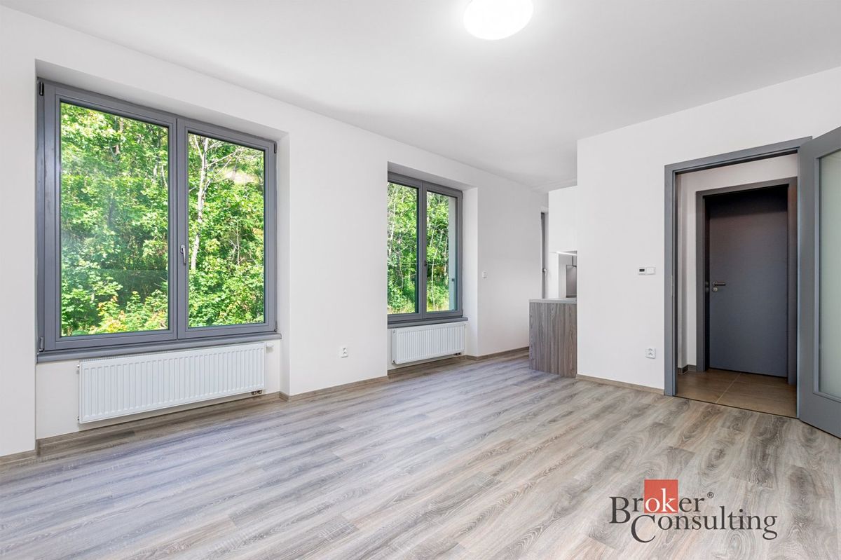 Pronájem bytu 1+kk 32 m²