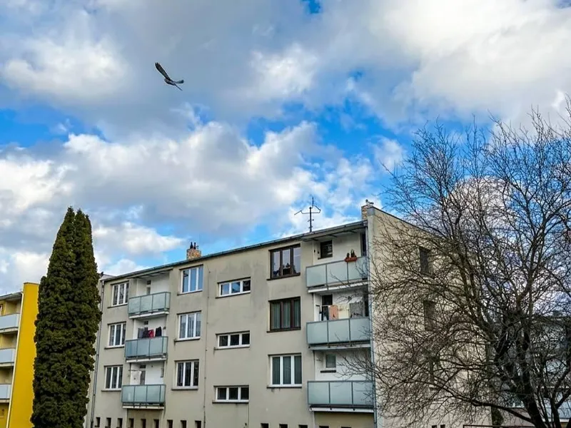 Prodej, byt 2+1, 54 m2, Trhové Sviny - Sídliště